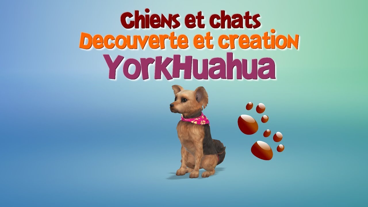 Les Sims 4: Chiens et chats - Création du YorkHuahua