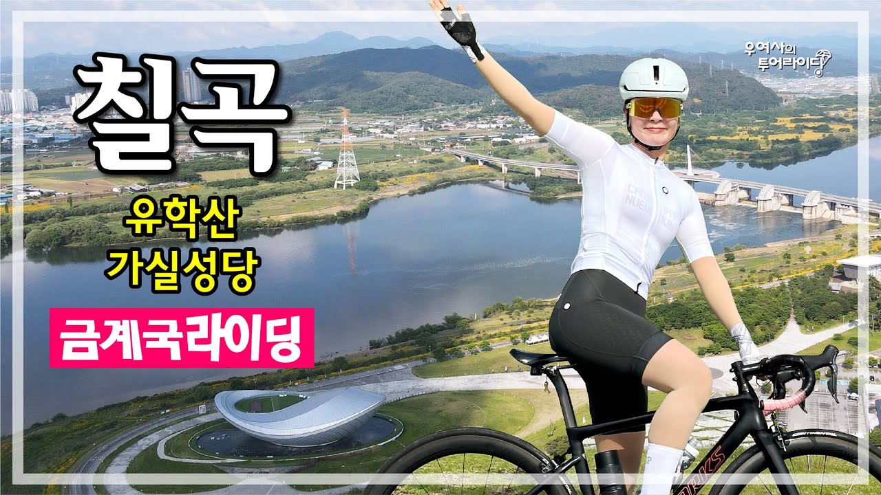 칠곡 금계국 (강정보-하빈면-유학산장-낙동강자전거길-가실성당) '25.05.25.