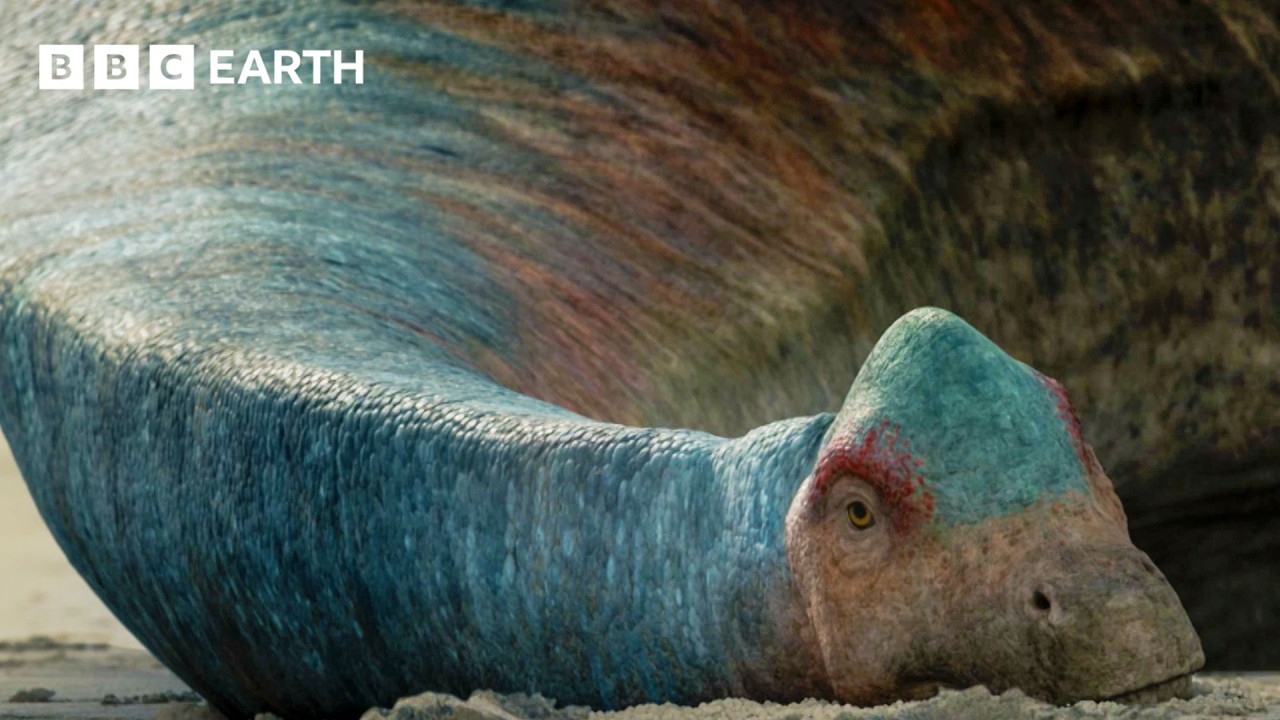 Injured Lusotitan vs Torvosaurus | Walking with Dinosaurs | BBC Earth Science