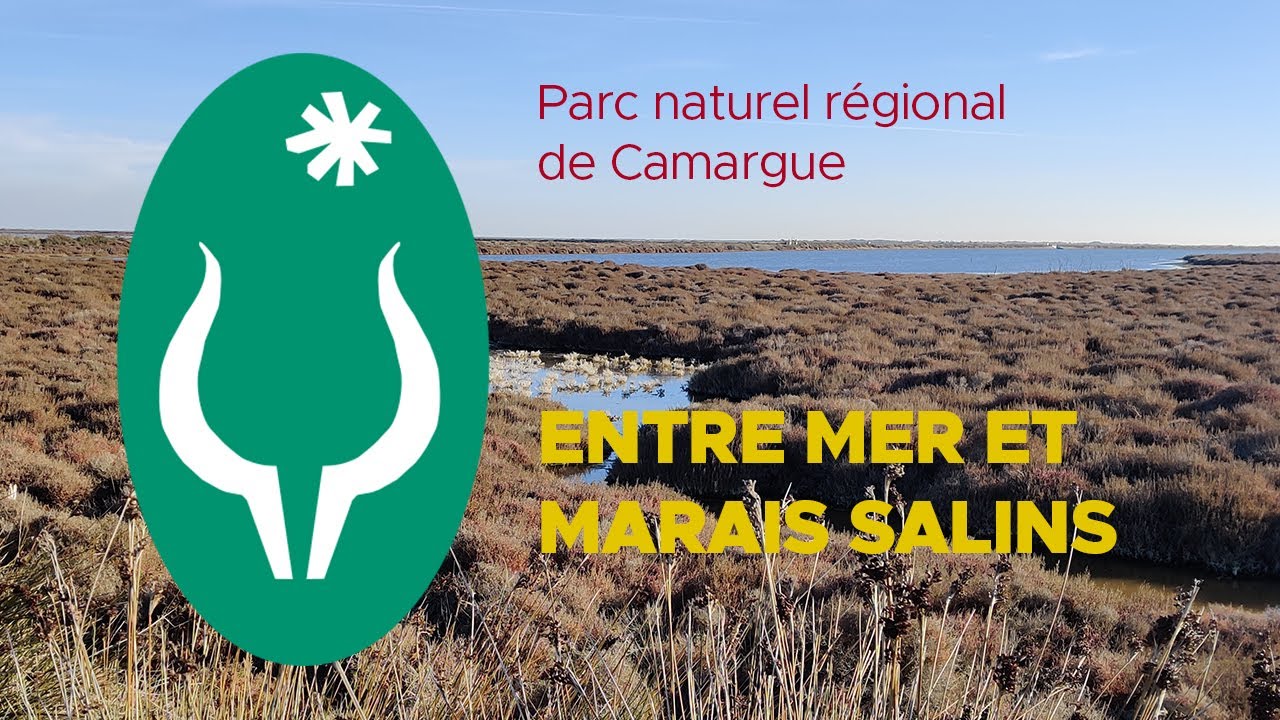 S01E04 : Entre mer et marais salins, randonnée de 19km en Camargue.