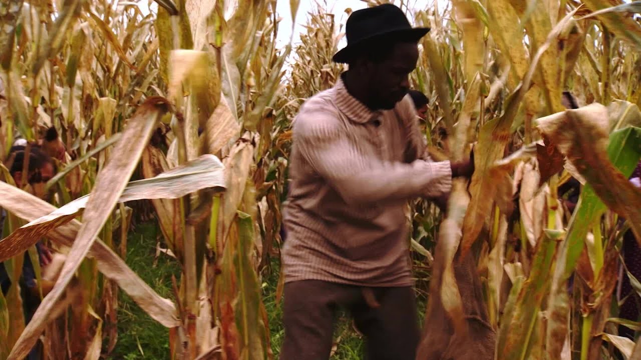 How Leprosy was Once Linked to Blackness