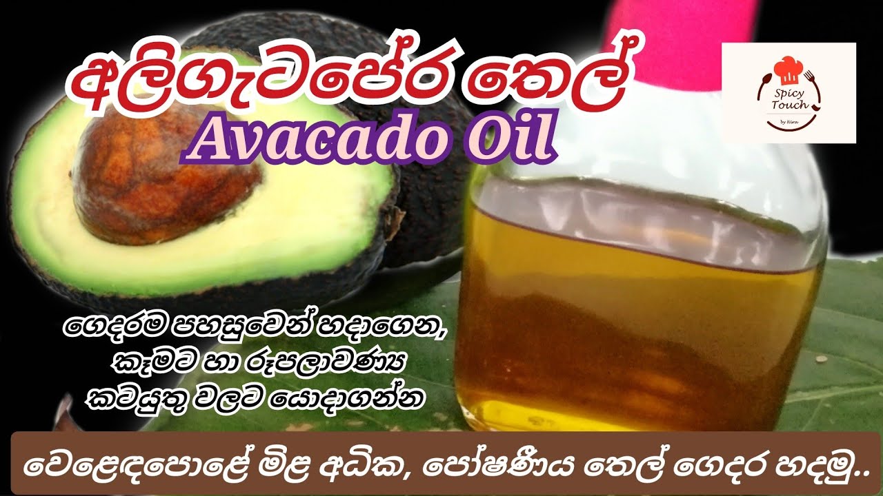 ගෙදර හදපු අලිගැටපේර තෙල් / Homemade Avacado Oil..