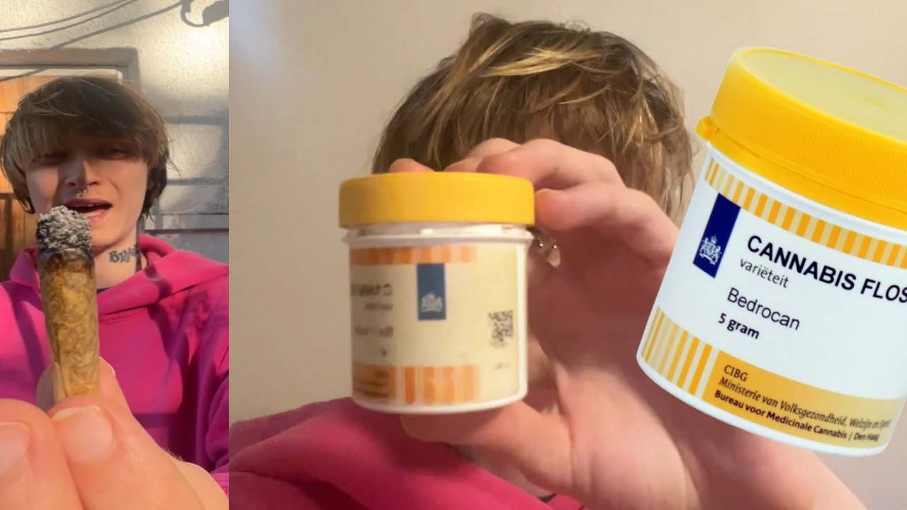 Bedrocan Medical Cannabis Review!