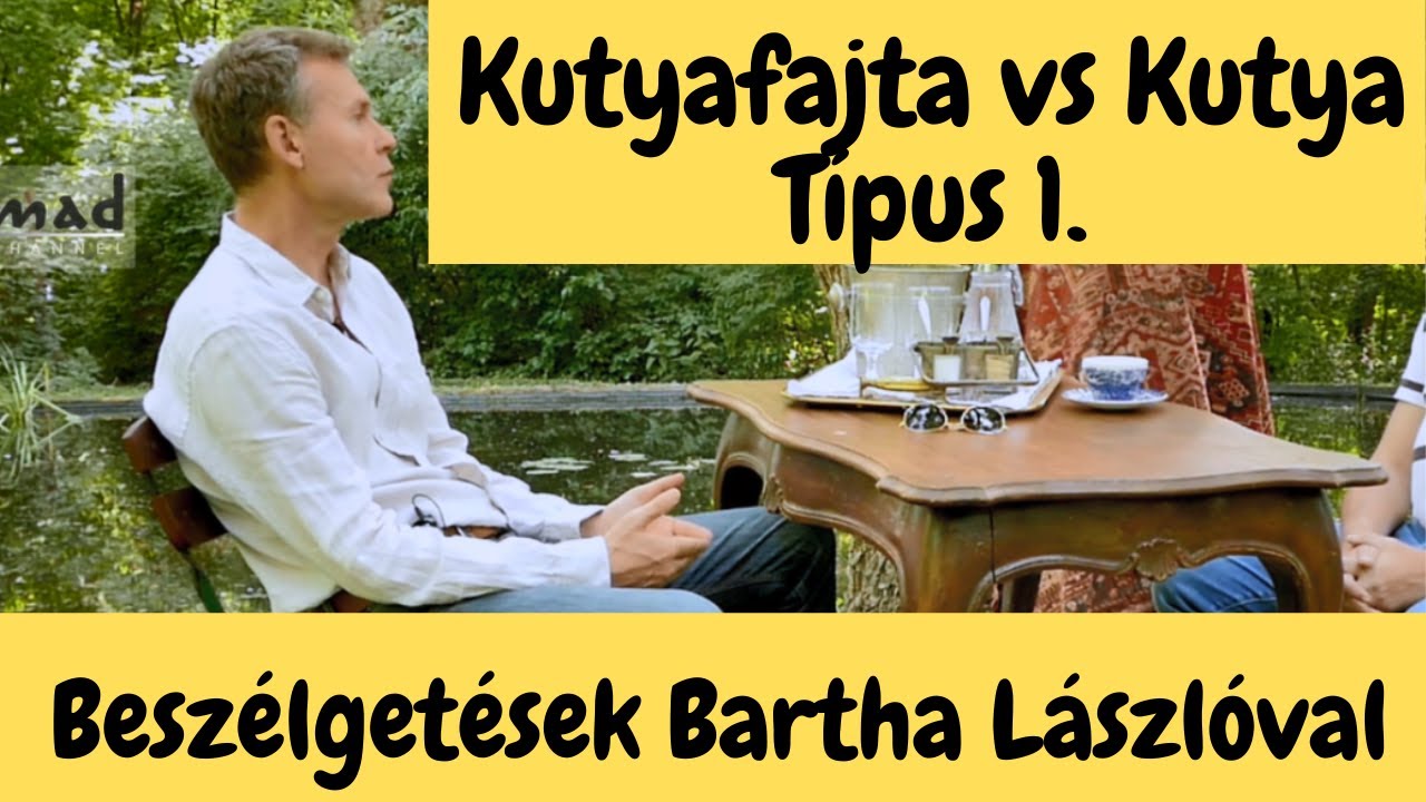 Kutyafajta vs Kutya Típus:  Búcsú a fajtatisztaság illúziójától - Bartha László - DogCast TV!