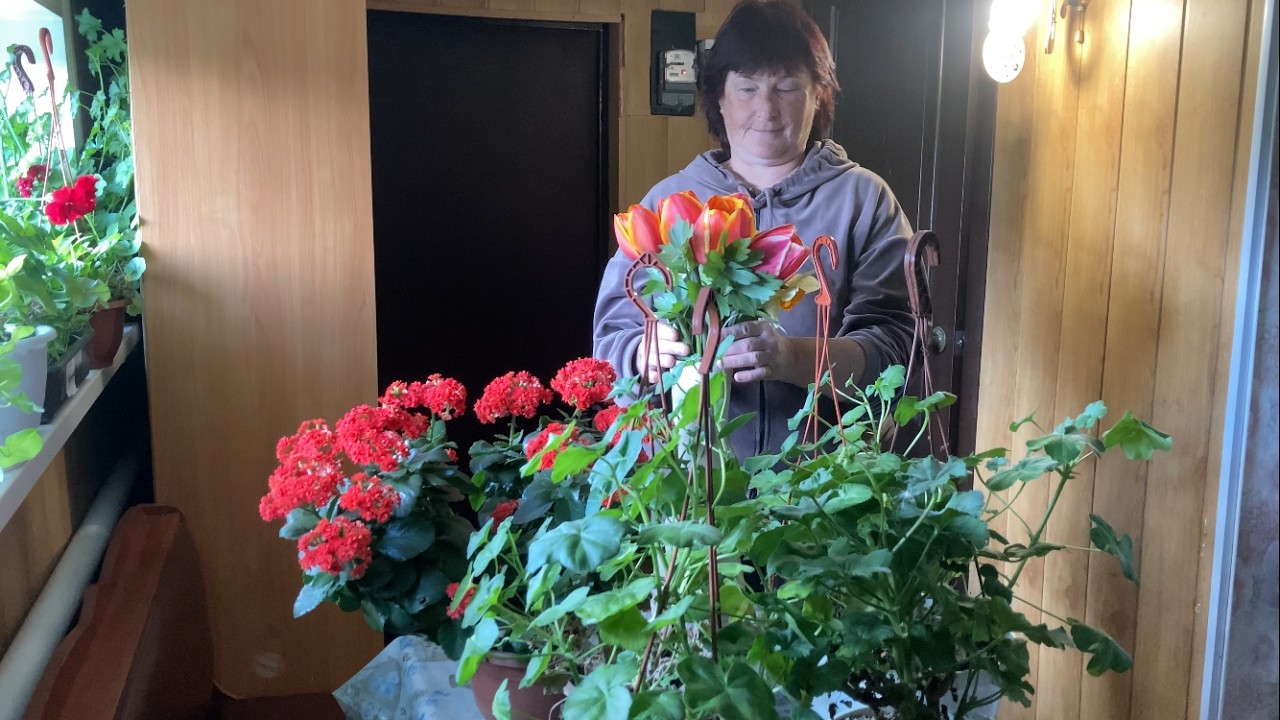 A Widow&rsquo;s Life in a Ukrainian Village 🌿 Quiet Strength in a Hard Life