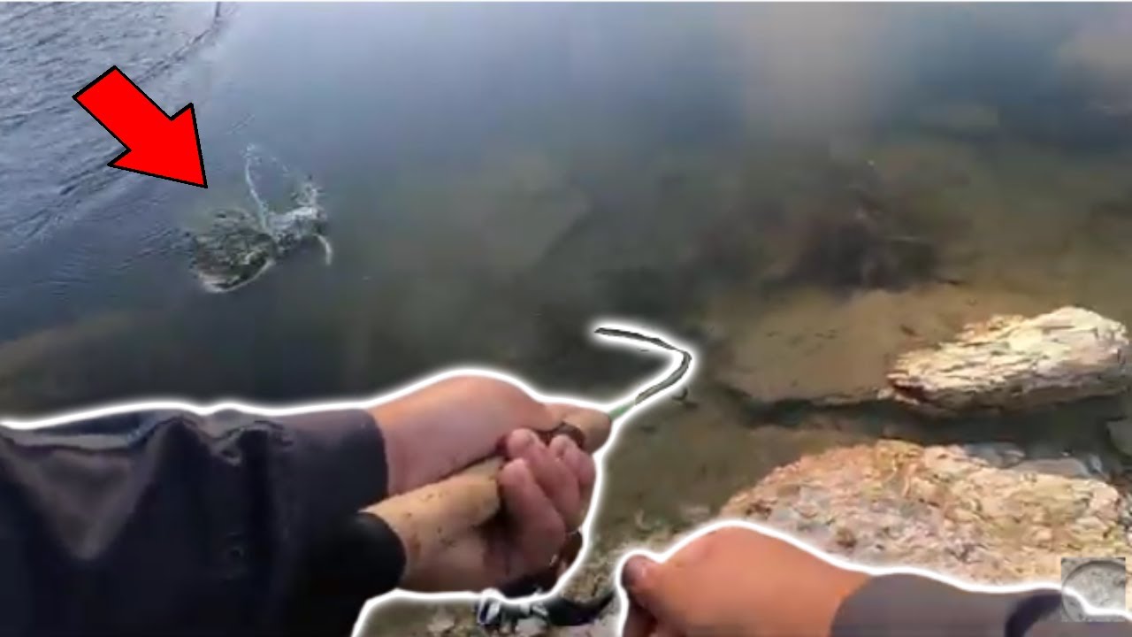 Catching LOADS Of trout in ALBERTA! | Mitchell pond Alberta