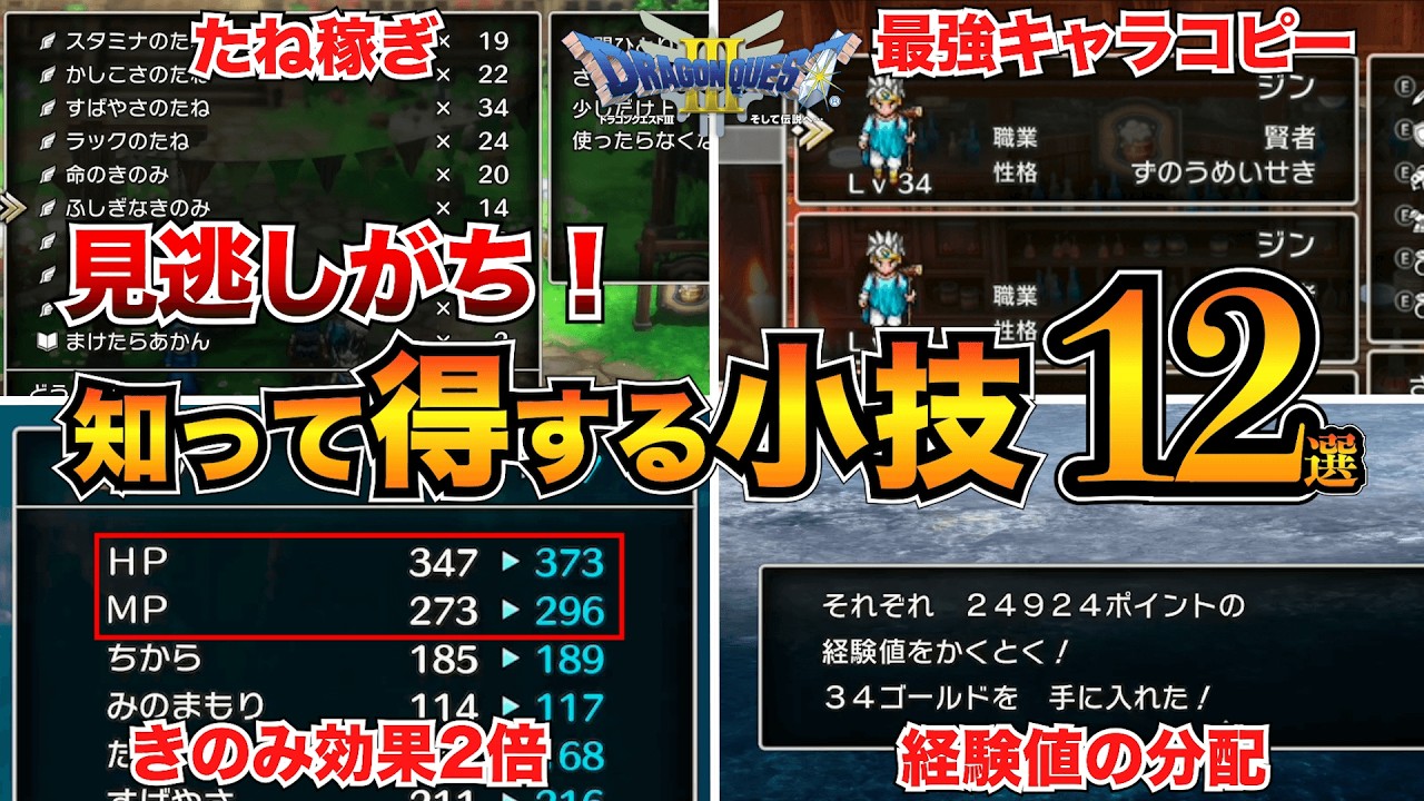 【ドラクエ3リメイク】意外と知らない？見逃しがちな小技12選！たね稼ぎ/経験値分配/あなほり【HD-2D】