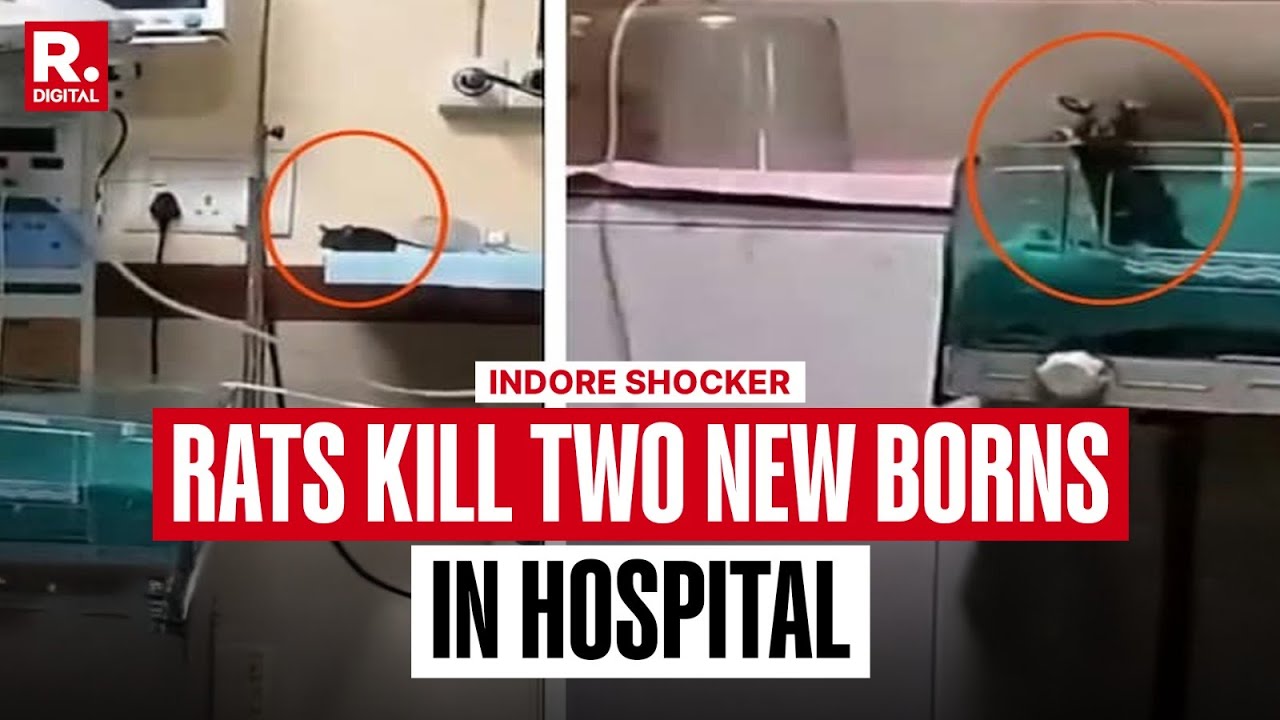 Newborn Dies After Rats Bite Infants at Indore's Hospital | Madhya Pradesh