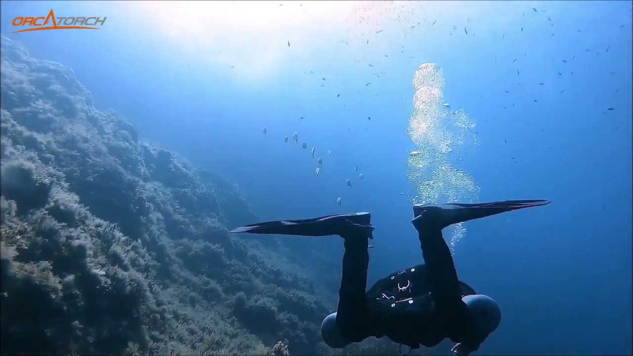 D710 Dive Light Review & Underwater Testing Video