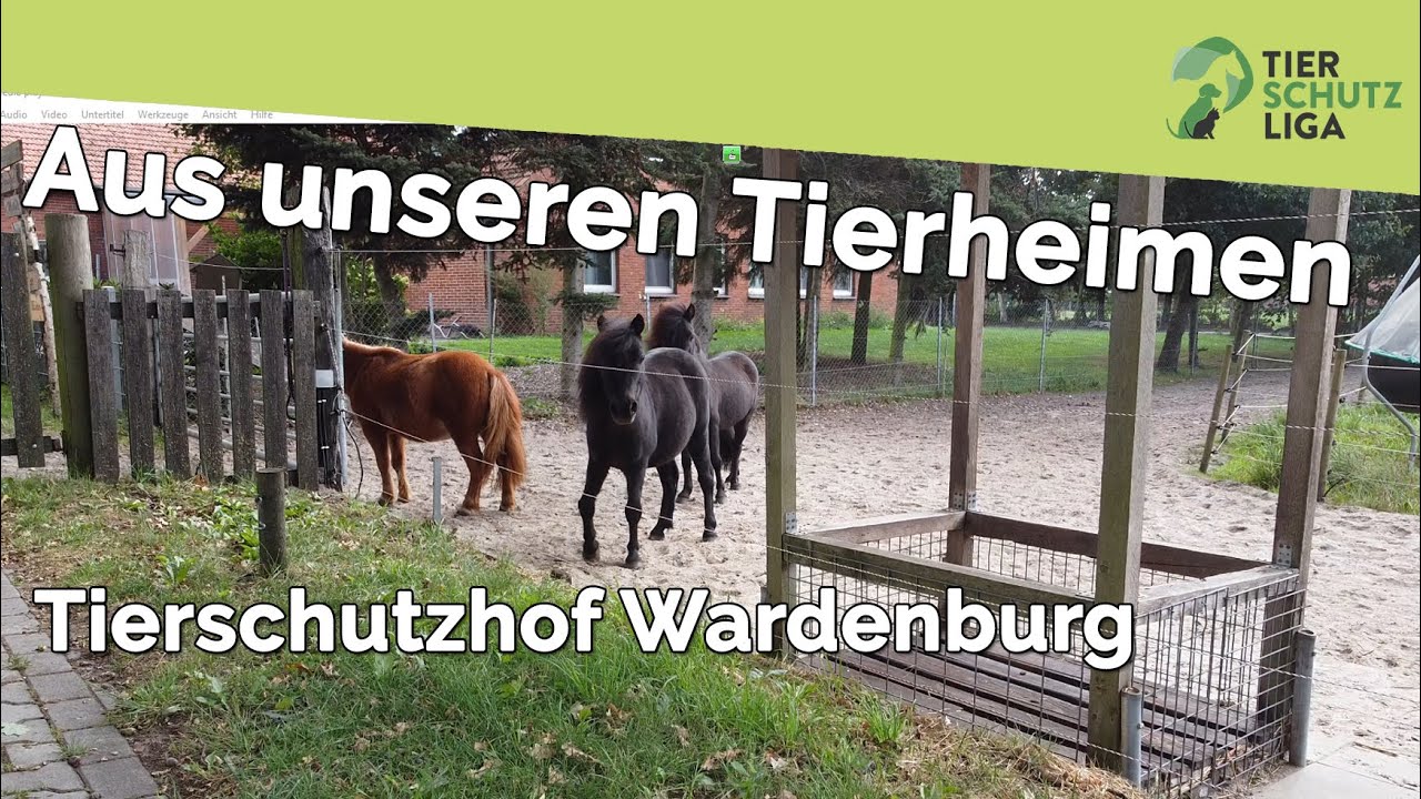 Tierschutzliga - Impressionen aus dem Tierschutzhof Wardenburg