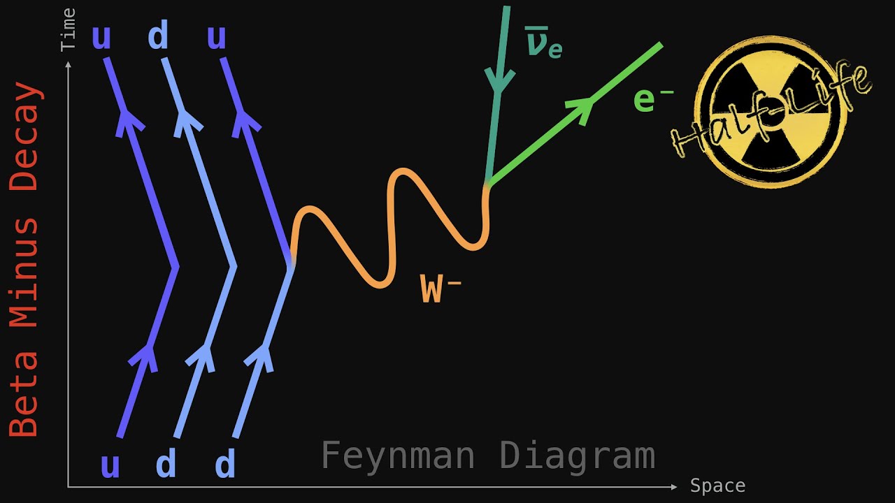 Feynman Diagrams: Beta Decay Equations  [Half-life, video 03]