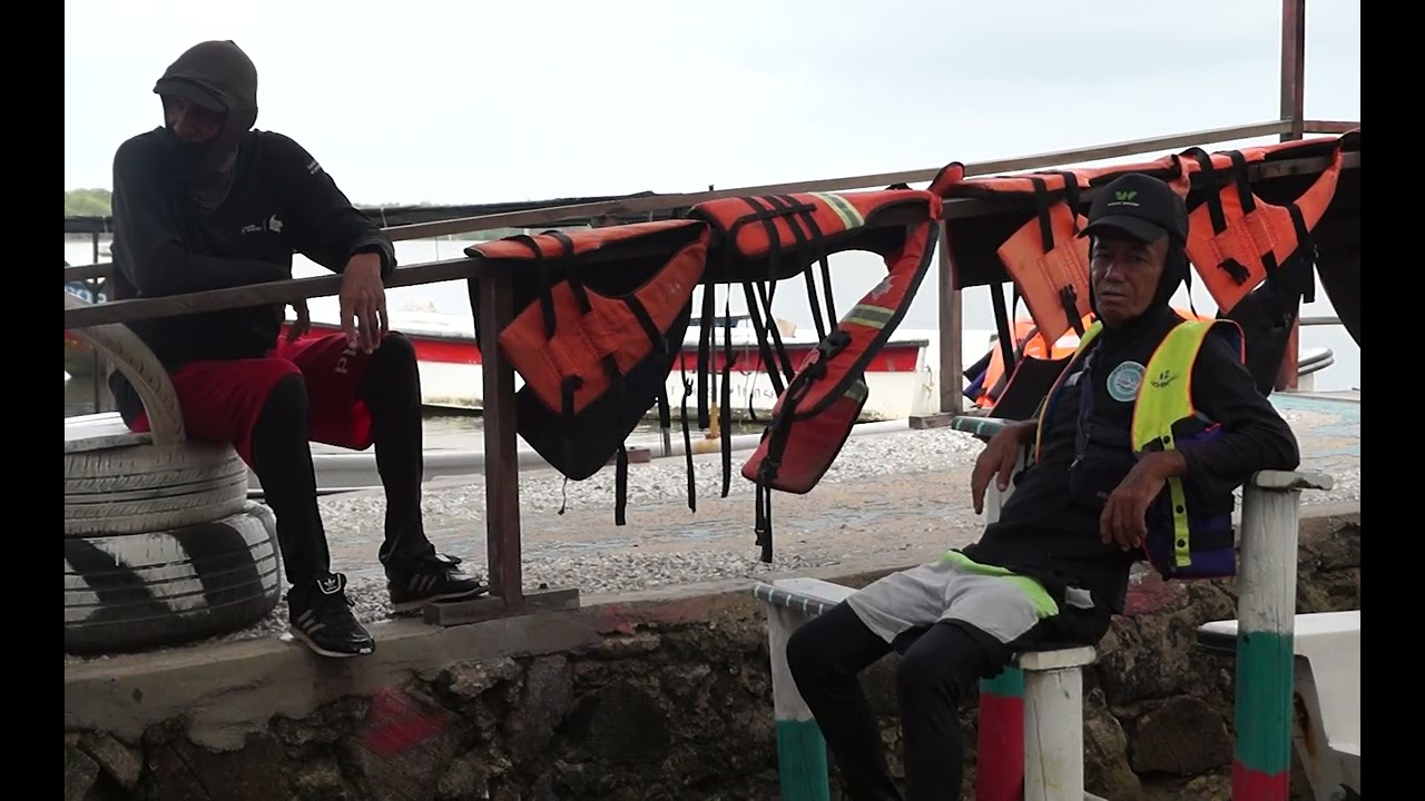 Mallorquín Vive: la vida del Atlántico esta en peligro