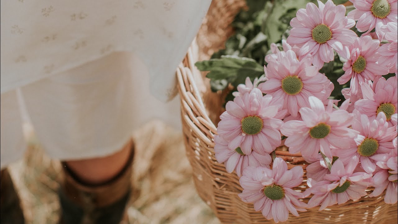 Behind the scenes en een stomme fout! | Weekvlog #41 Slowliving in Zweden