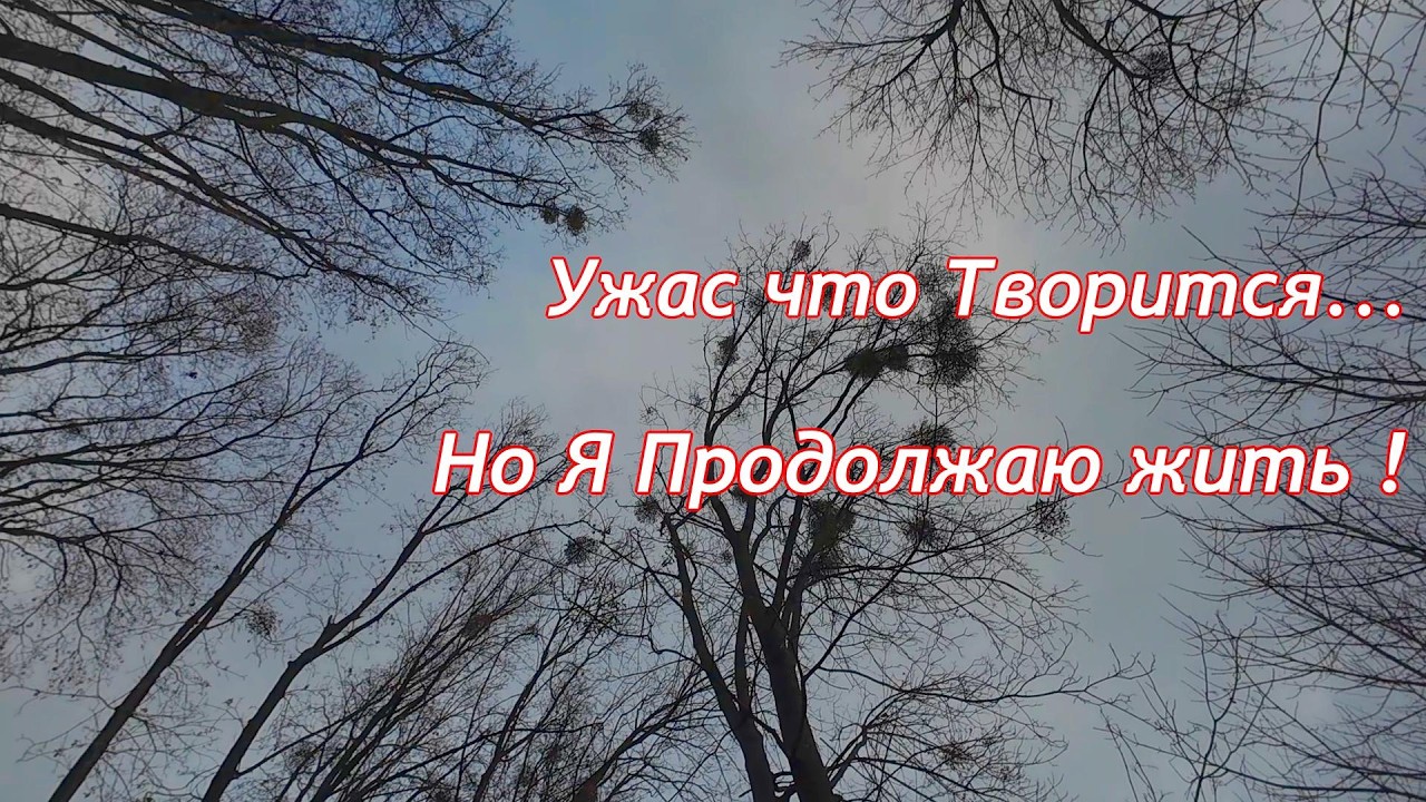 Ужас Что творится,,, НО Я ПРОДОЛЖАЮ ЖИТЬ !!!