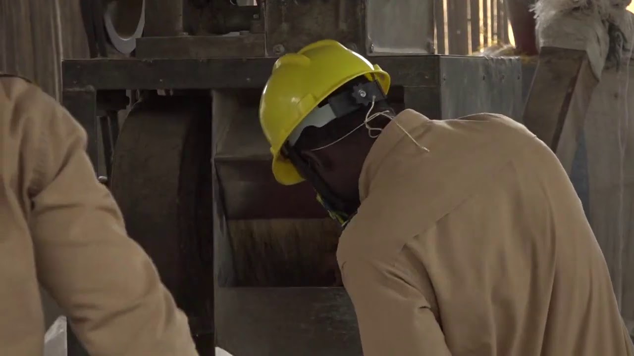 La filière riz en plein essor au togo