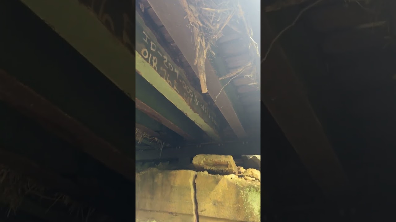 Old wooden bridge in Georgia that isn&rsquo;t dangerous or rotten!