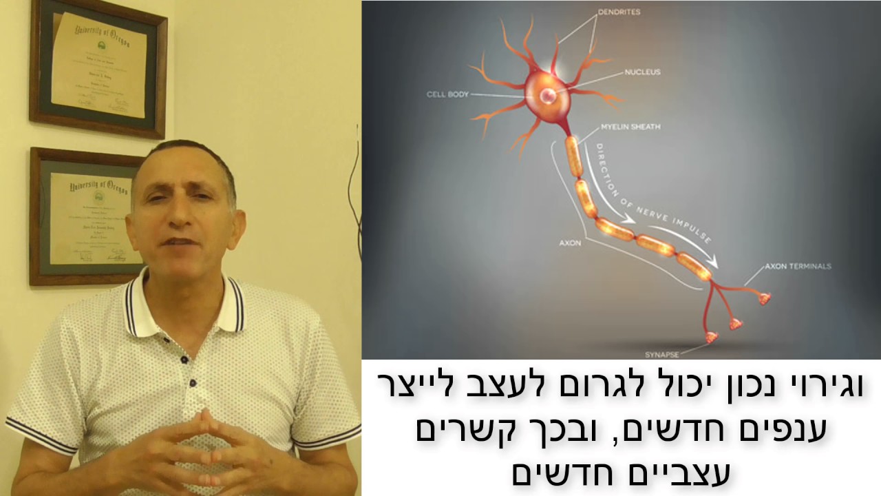 כושר גופני למוח - כיצד מחזקים את מערכת העצבים? ד