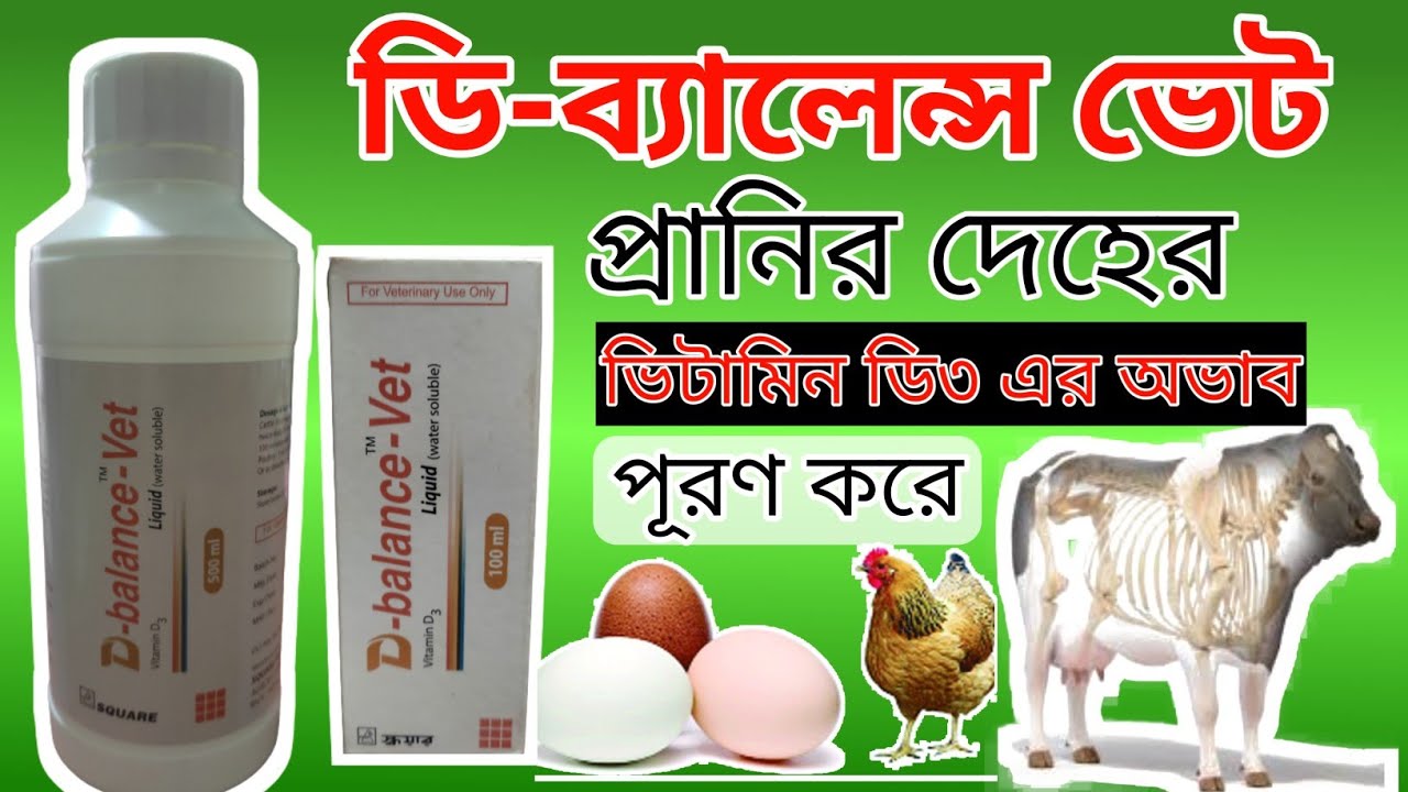 D-balance vet | ডি ব্যালেন্স ভেট এর কাজ। ভিটামিন ডি৩ এর অভাবে প্রানির কি কি সমস্যা হয় দেখুন।Mollah