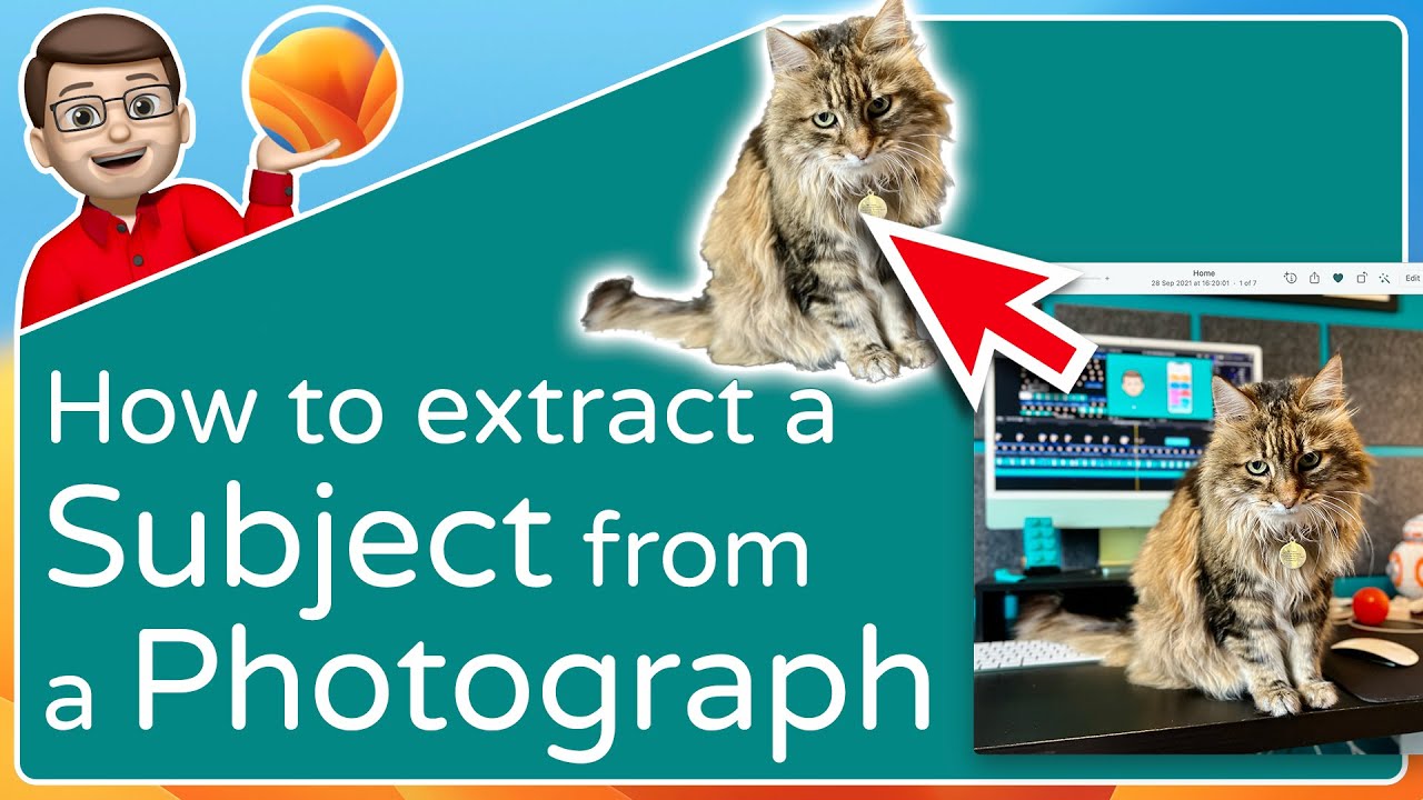 Extract the Subject from a Photo ⭐ macOS Ventura Tips