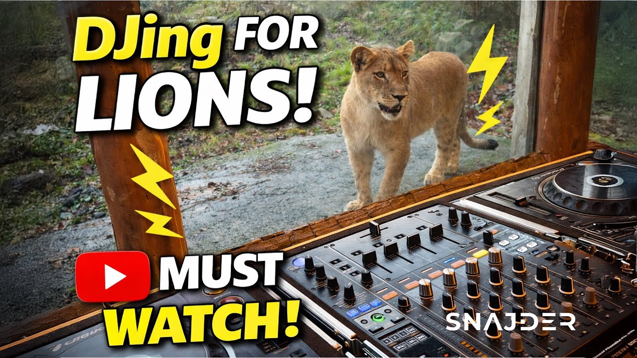 DJ Set Loading 2026 - SNAJDER x REE PARK SAFARI