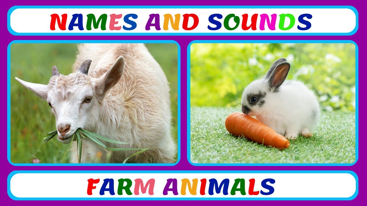 Farm Animal Names and Sounds For Kids | Vocabulary For Kids | Learn About Animals For Children