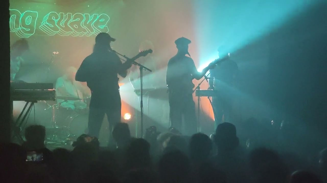 feng suave - honey, there's no time (live paris 25/10/22)