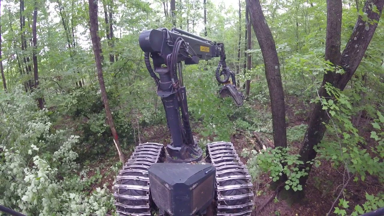 2010 Ponsse Ergo 8w C4 H7 harvesting hardwood pulp