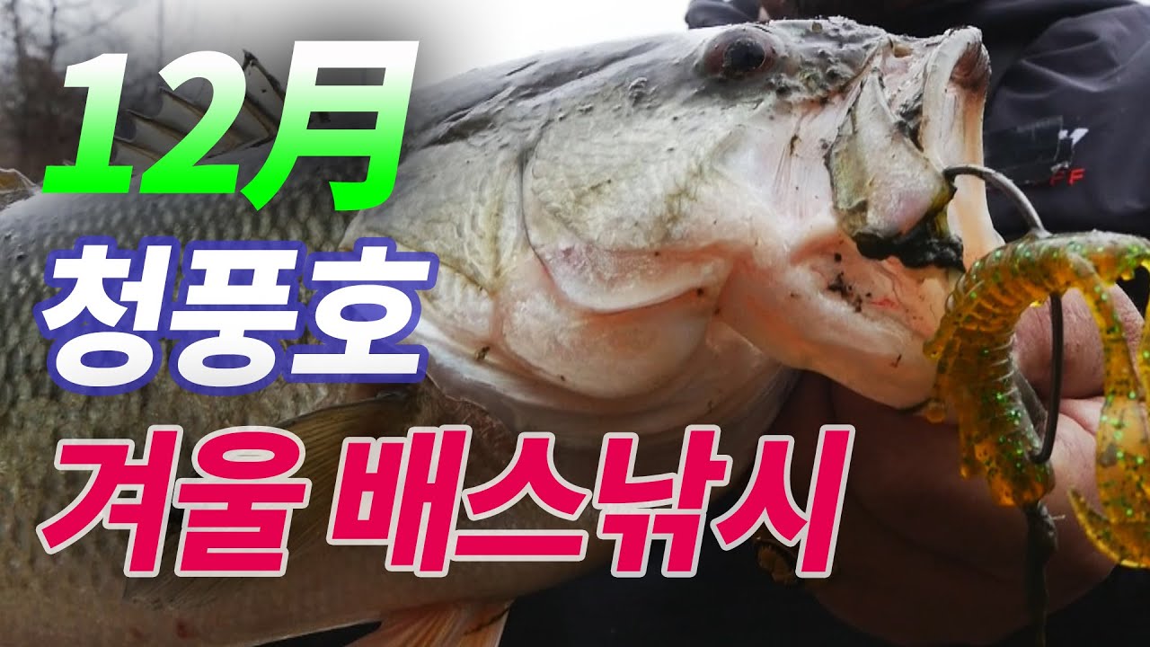 [타깃4] 59회_청풍호 겨울 배스낚시 / 강화발이 김재우