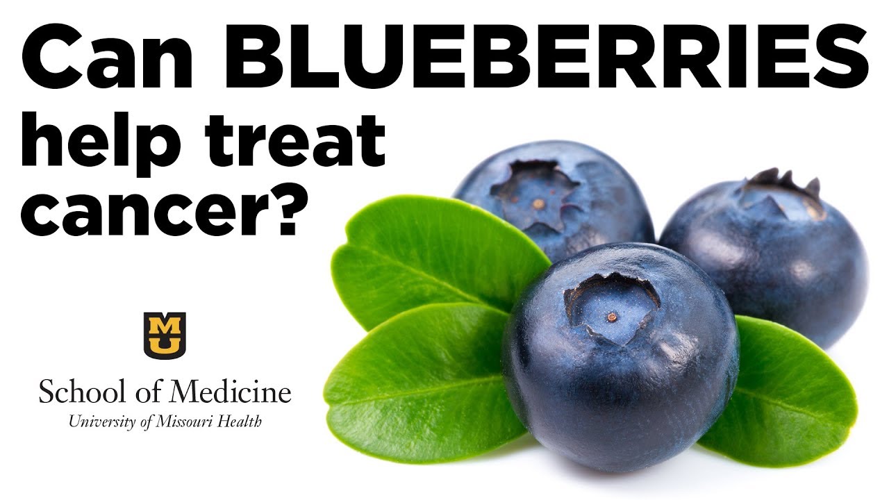 Can Blueberries Help Treat Cancer? (Yujiang Fang, MD, PhD)