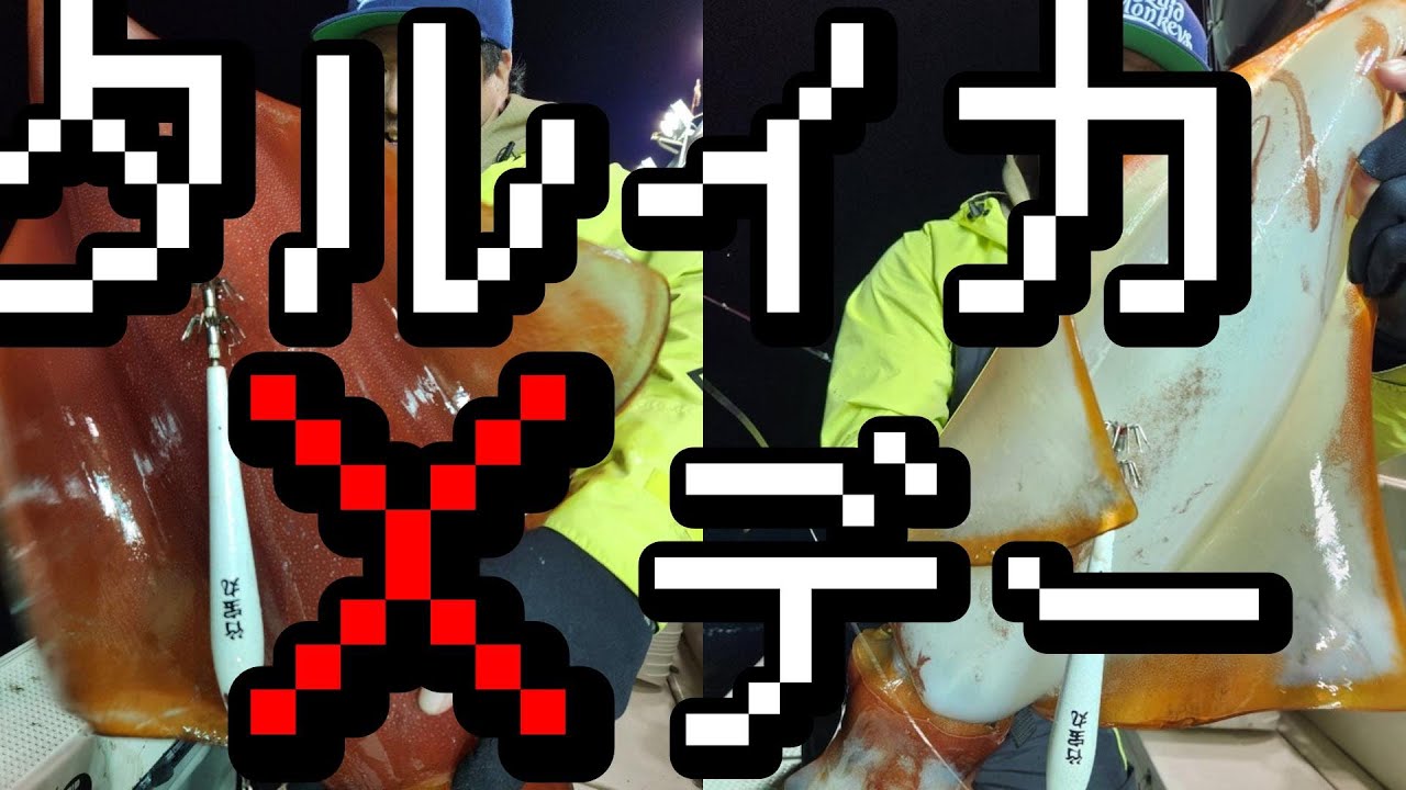 【11月下旬　若狭湾】レッドモンスター乱舞！！タルイカXデー！