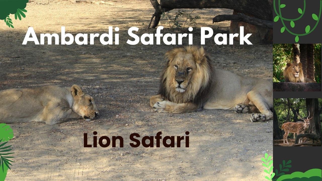 Ambardi Safari Park l Khodiyar Mataji Mandir - Galdhara l Khodiyar Dam l Dhari