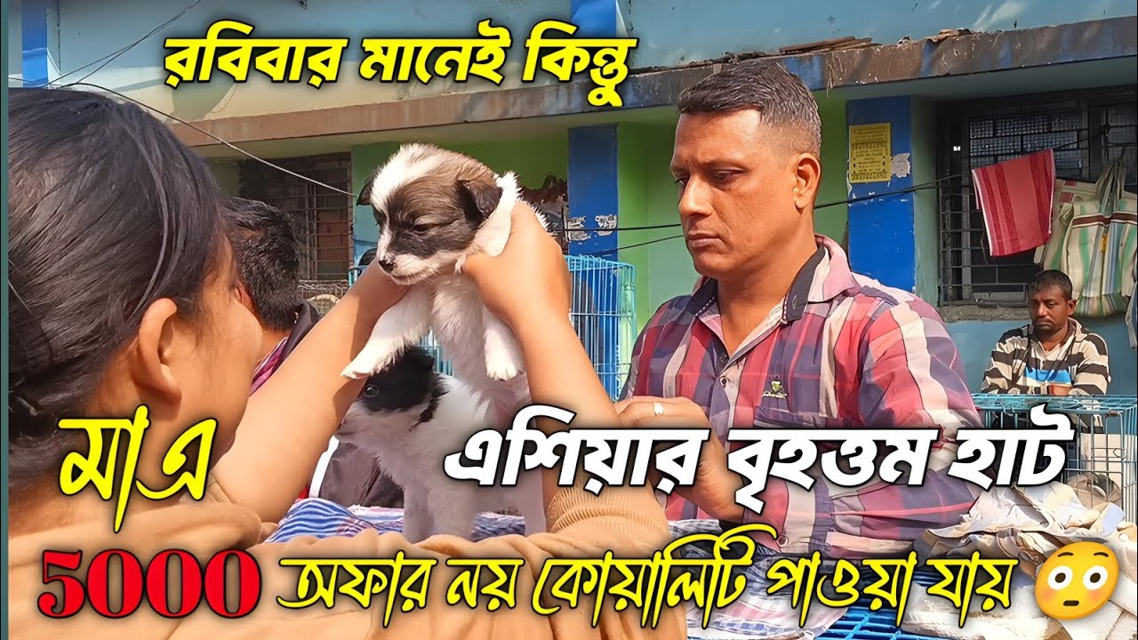 এশিয়ার বৃহত্তম হাটে অফার নয় কোয়ালিটি পাওয়া যায় Kolkata Pet Market Recent Dog Price Update 😳