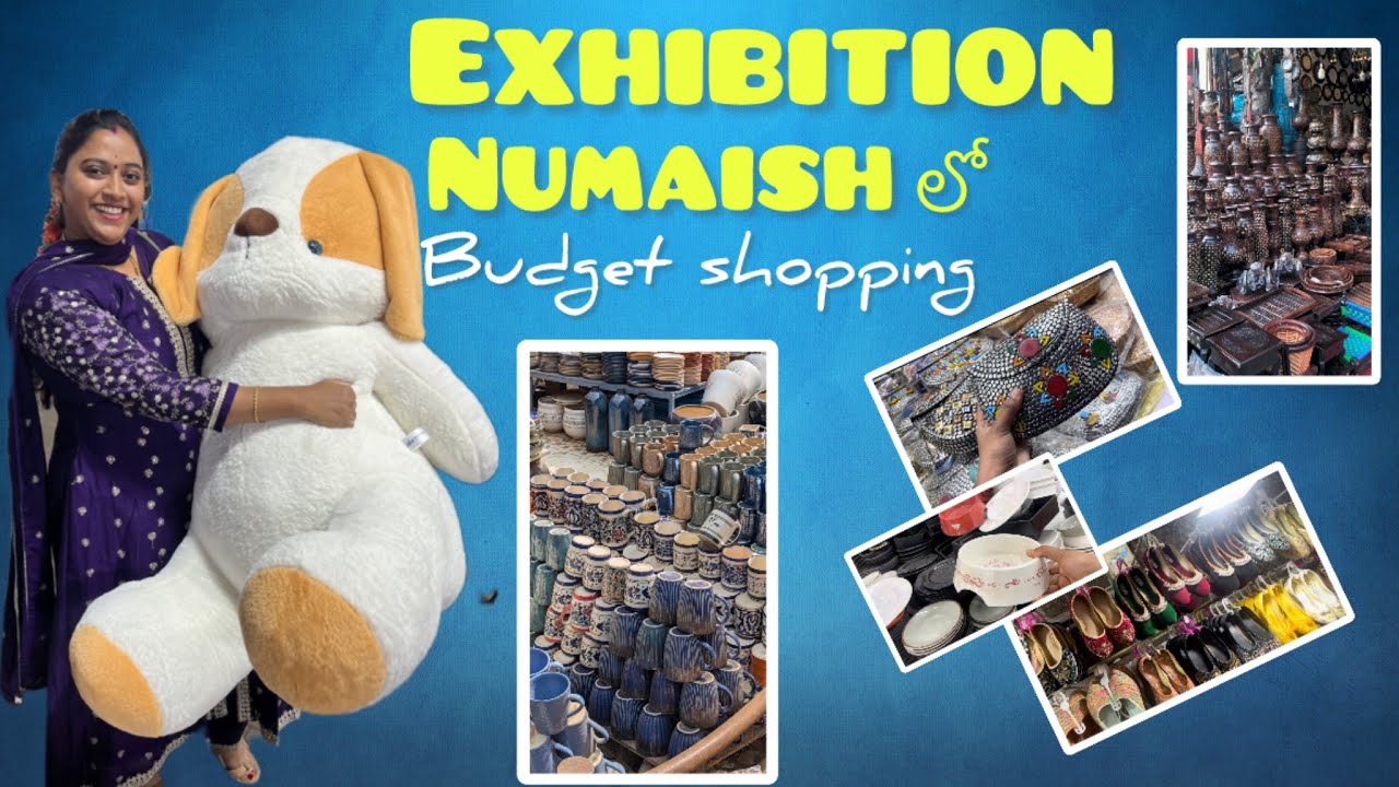 Exhibition lo budget shopping 🛍️| Gift వచ్చింది నాకు | #vlog #maintibhagavatam #numaish #viralvideo 