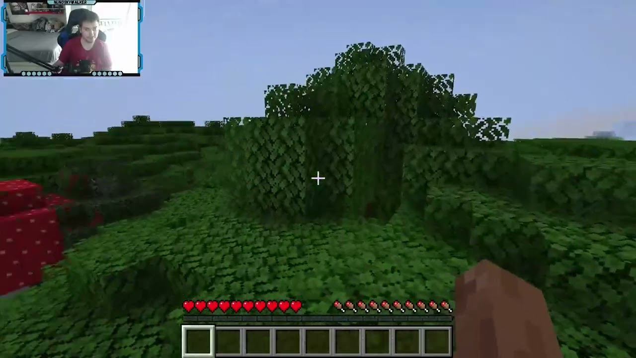 Um vídeo de minecraft aleatório