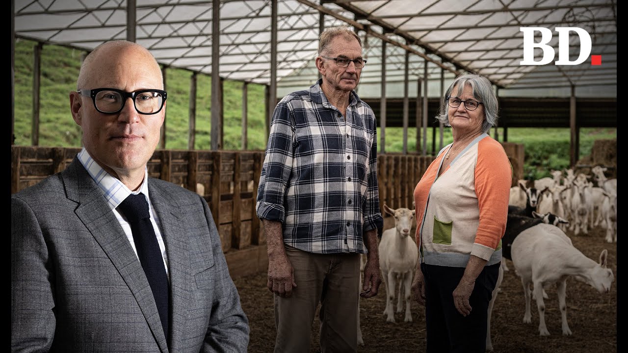 Milked dry: Northland dairy goat farmers&rsquo; &lsquo;beautiful dream&rsquo; sours in battle with BNZ