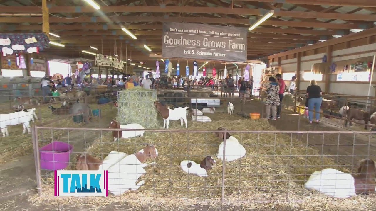What you can expect at the Big Butler Fair