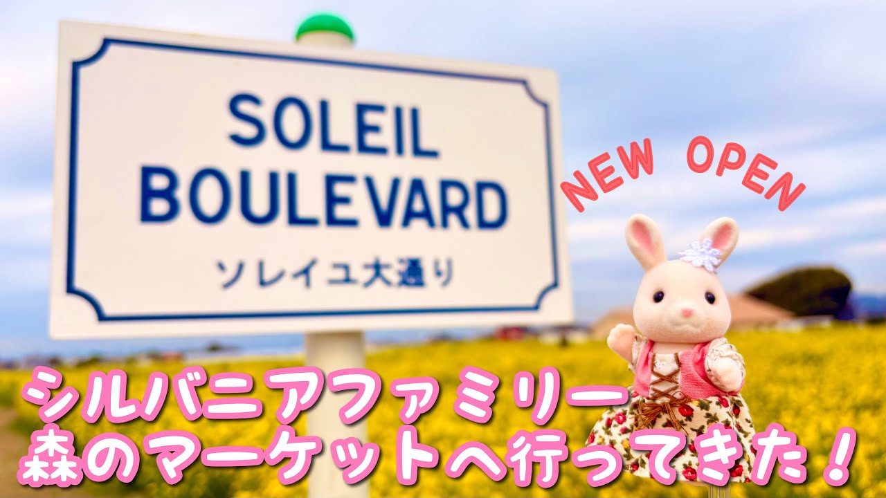 【Vlog】新規オープンのシルバニア森のマーケットへ！【ソレイユの丘】