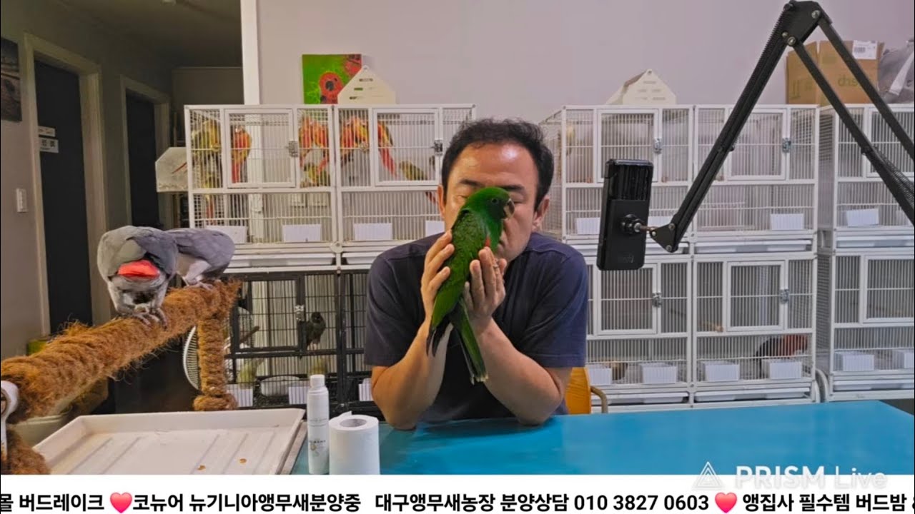 앵집사들의 이야기방 저녁라이브off 🦜/ 대구앵무새농장 [ Birdlake ]  실시간라이브  앵무새분양및 행동상담 parrot korea 20260318
