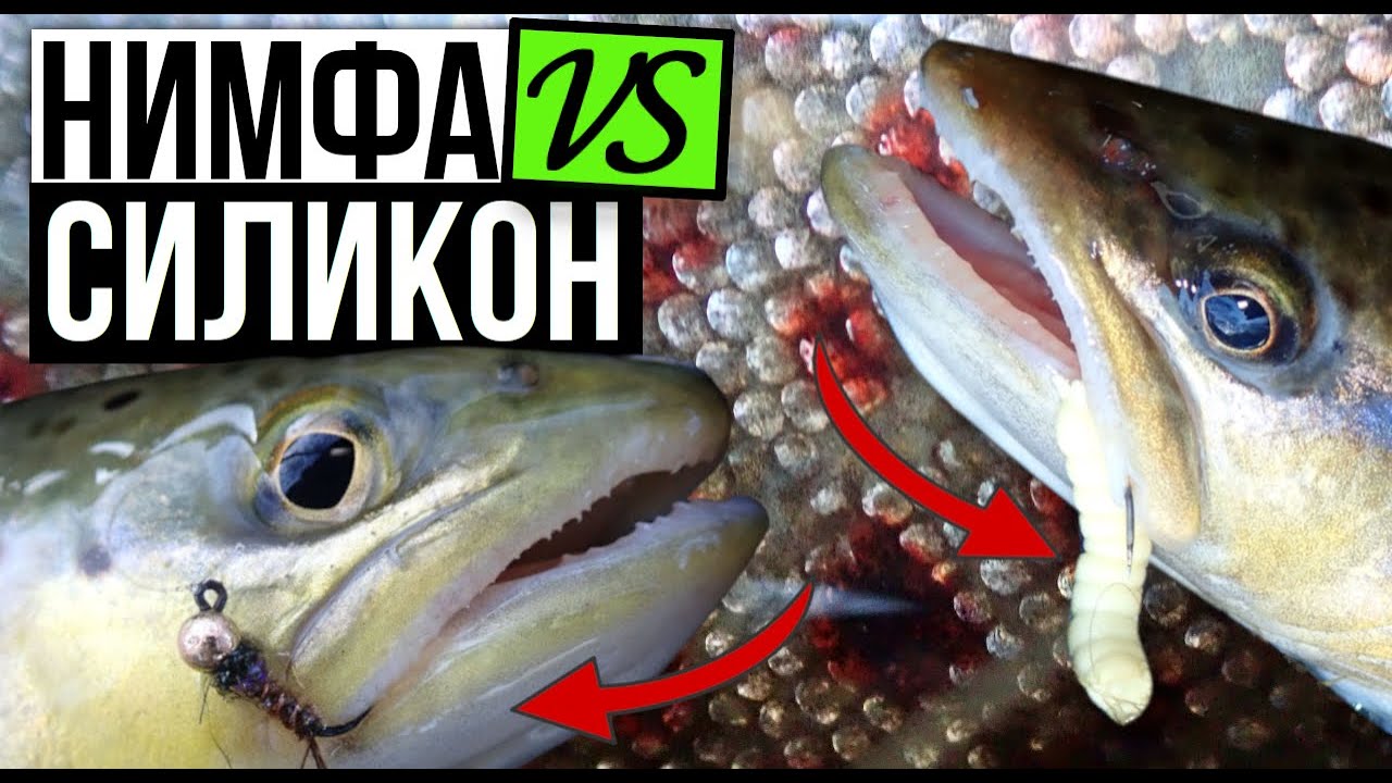Лових със ЗАБРАНЕНИ примамки! Риболов на ПЪСТЪРВА с мухарка!