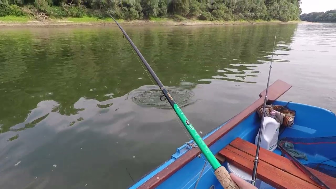 PREDATOR TISZAI PONTY...FHD