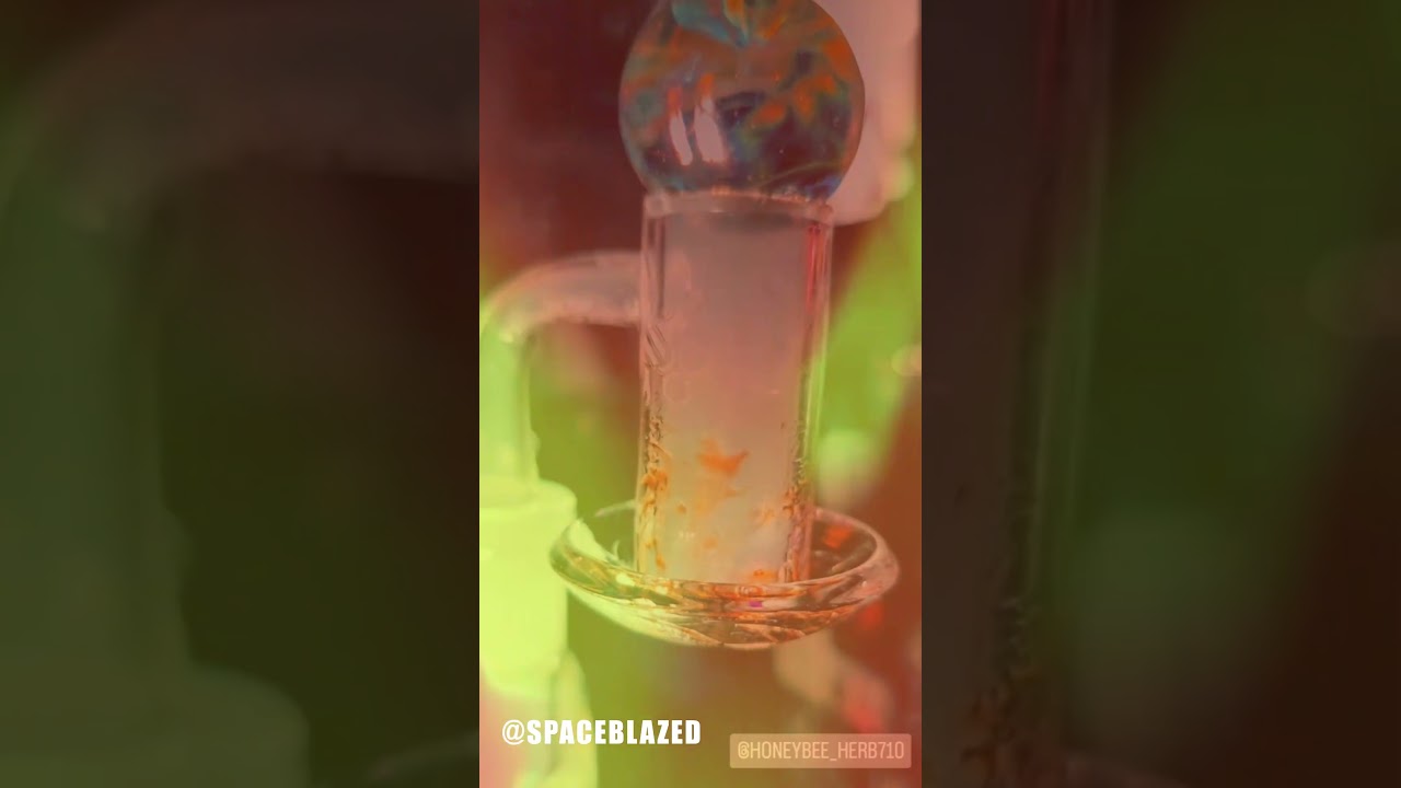 Honeybee Herb Beehive Meltshot  #banger #honeybeeherb