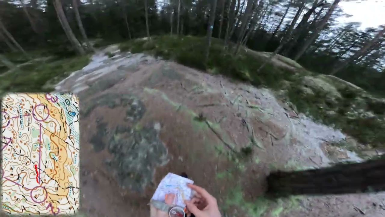 Skjettenkollen - Alfred - Sløyfe 1
