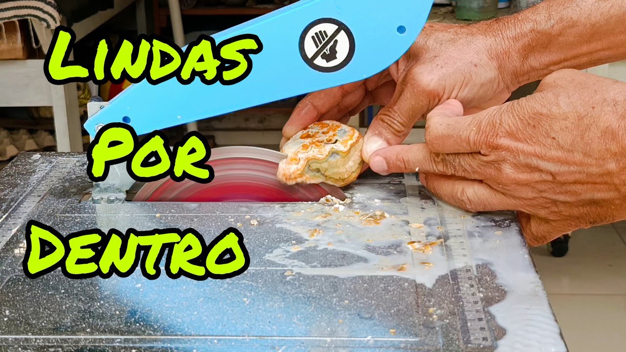 Cortei só pra ver como é por dentro 