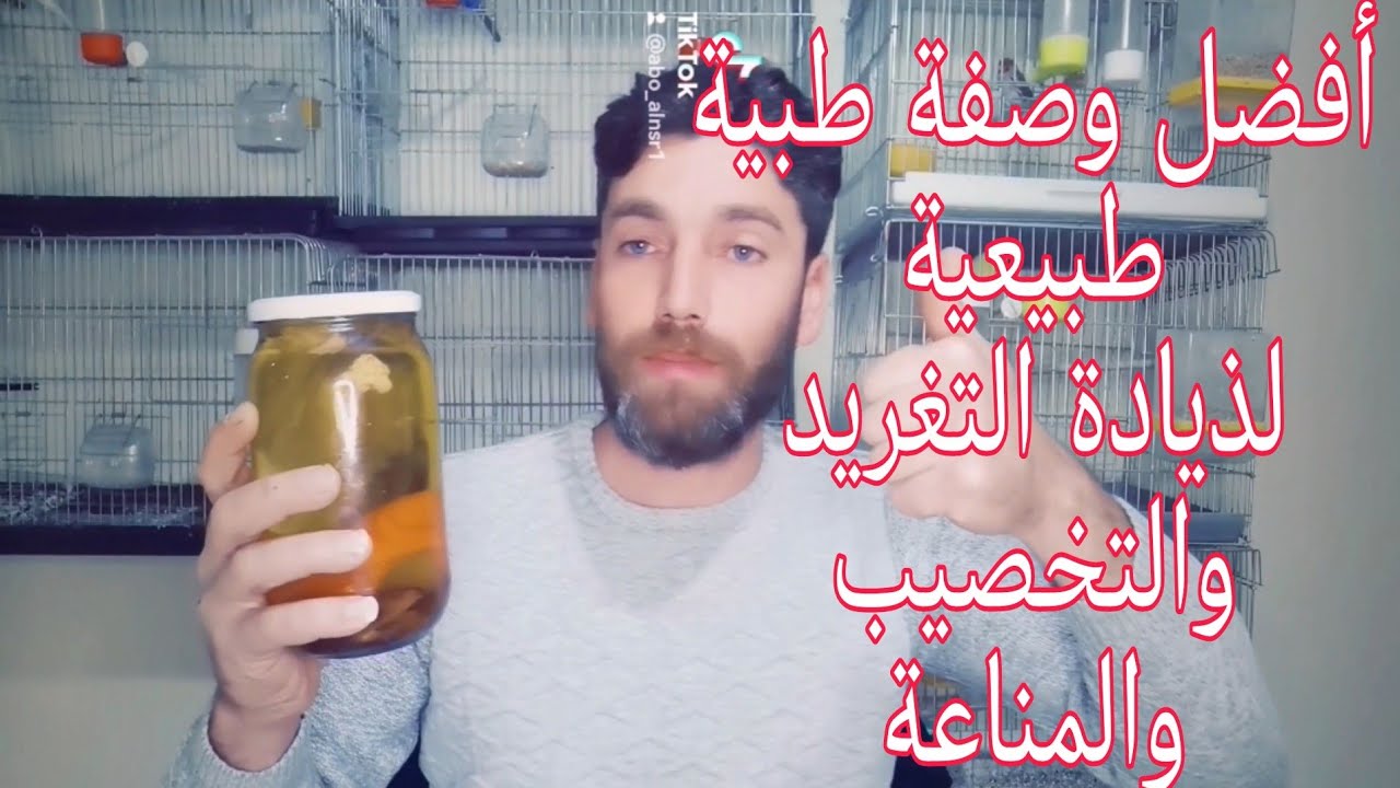 اجعل من طيورك قنبة تغريد وهيجان وقوة مناعة أفضل وصفة طبية لطيورك ستسمع بها