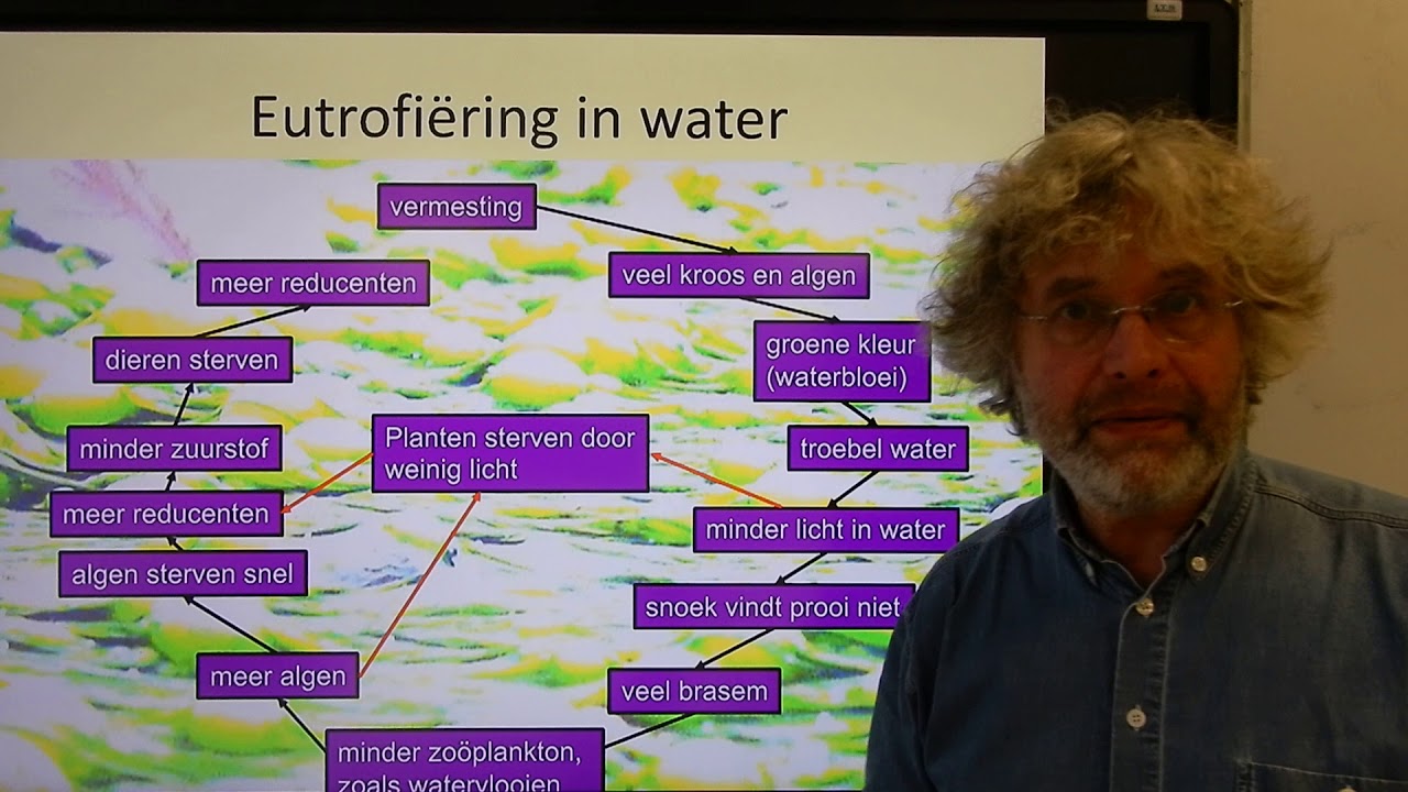 Biologie HV BB Eutrofi&euml;ring en waterbloei