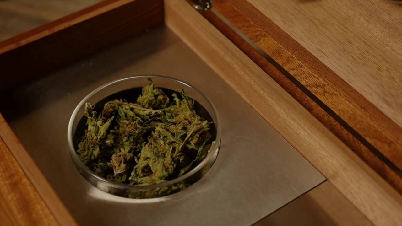 Cannaseur&reg; ONE