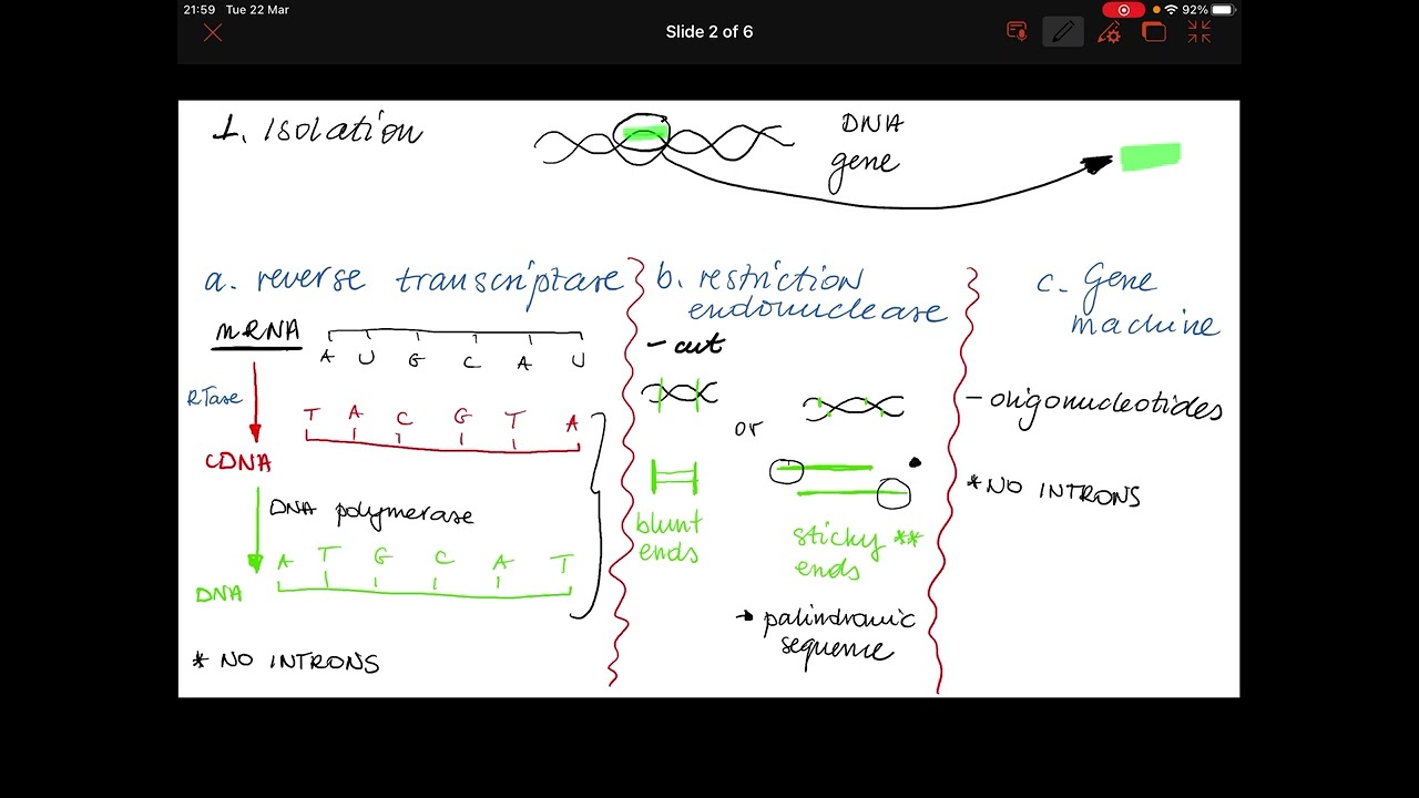 Introduction to Gene technology