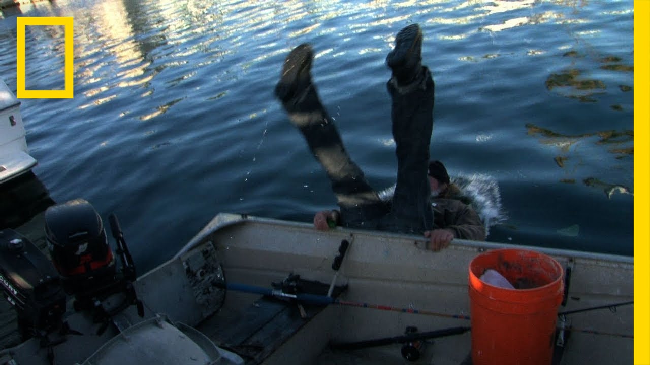 Drunken Lobstering | Wild Justice