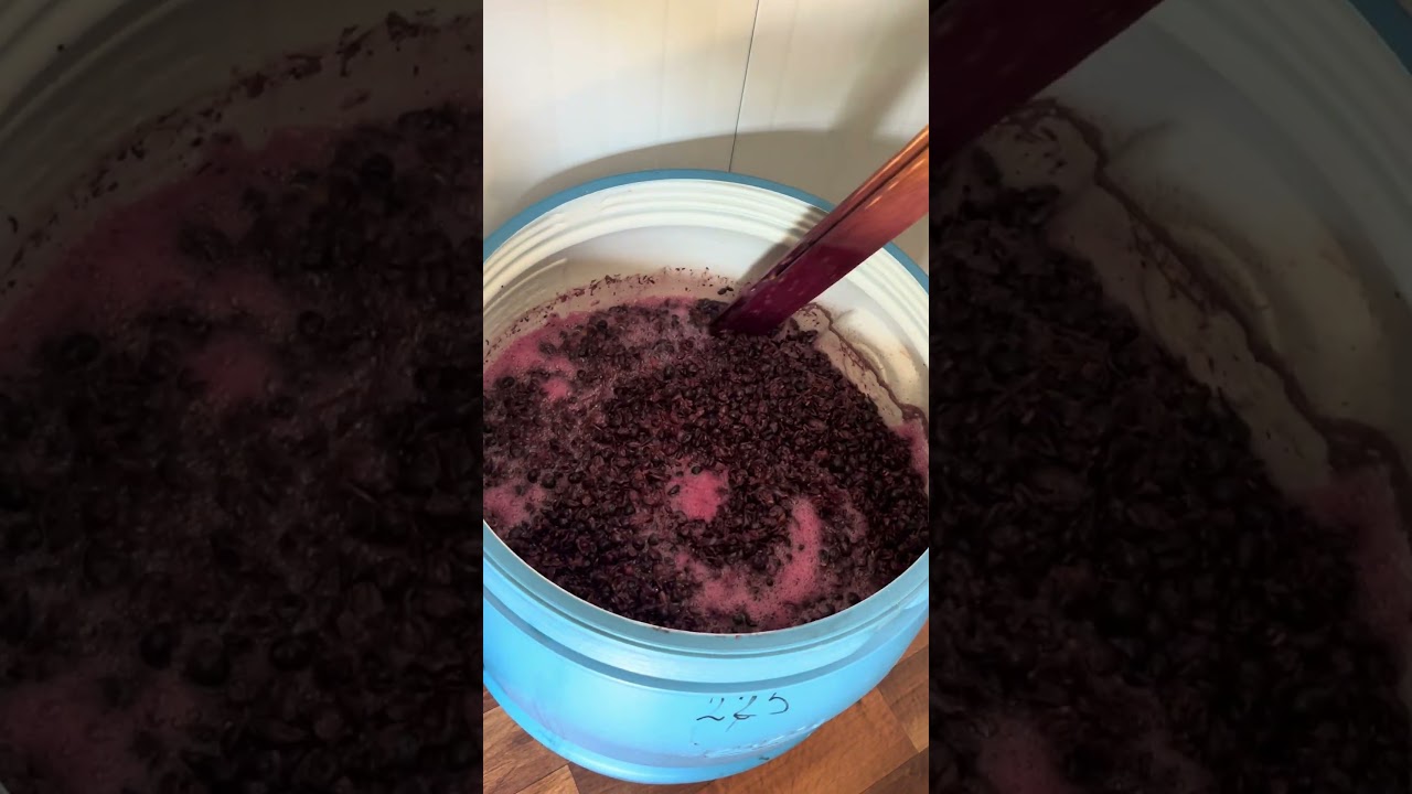 Evde Kendi Şarabını Yapabilirsin! #şarap #wine