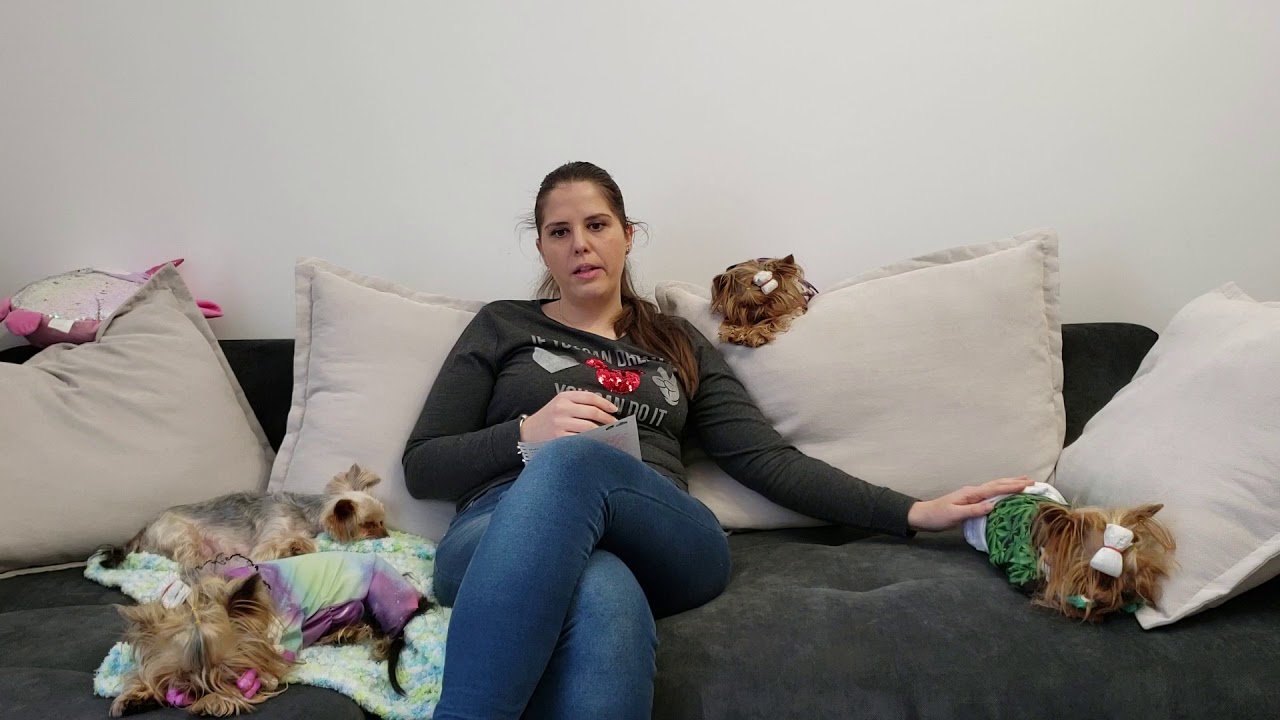 O scurta prezentare a canisei 